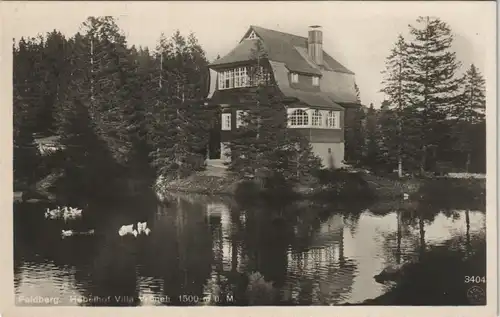 Ansichtskarte Feldberg (Schwarzwald) Hebelhof Villa Vronelli 1932