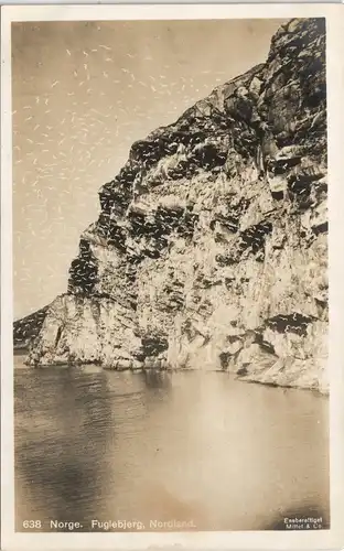 Postcard Norwegen Allgemein Norway Norge. Fuglebjerg, Nordland. 1928