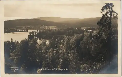 Postcard Oslo Kristiania Christiania Fra Bogstad 1929