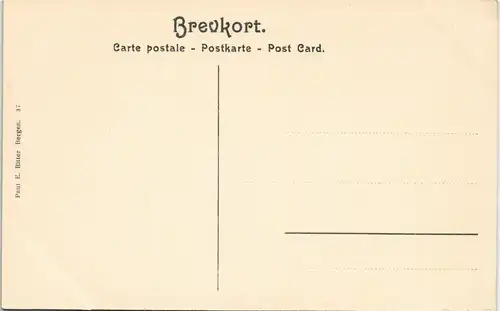Norwegen Allgemein Mellem Grotlid og Djupvandet. Norge Norway 1911