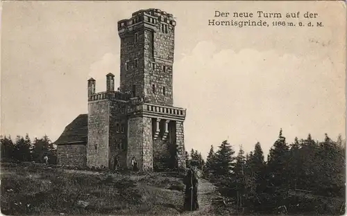 Ansichtskarte Achern Hornisgrinde (Berg) - Turm 1911