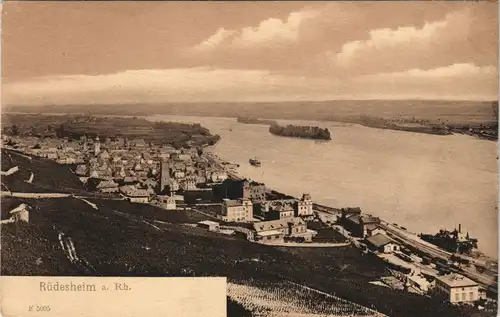 Ansichtskarte Rüdesheim (Rhein) Panorama-Ansicht Stadt & Rhein 1910