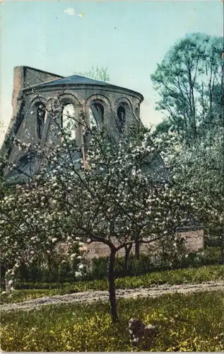 Ansichtskarte Oberdollendorf Hund auf Wiese vor Kloster Heisterbach 1910