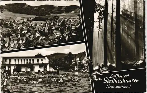 Ansichtskarte Siedlinghausen-Winterberg Stadt, Freibad, Wald 1963