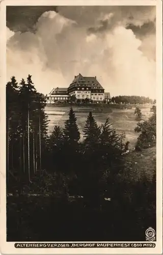 Altenberg (Erzgebirge) Sanatorium "Raupennest" 1931 Walter Hahn:6825