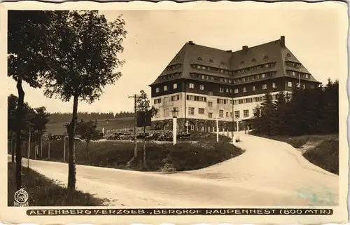Altenberg (Erzgebirge) Sanatorium "Raupennest" Aufgang 1931 Walter Hahn:6928