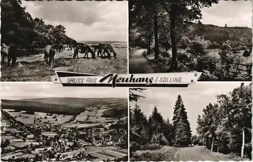 Neuhaus im Solling-Holzminden Mehrbild-AK mit 4 Umland-Ansichten 1969