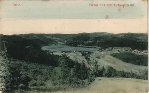 Ansichtskarte Titisee Panorama-Ansicht Gruss a.d. Schwarzwald 1905