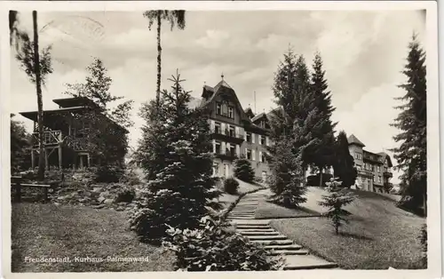 Ansichtskarte Freudenstadt Kurhaus Palmenwald 1929