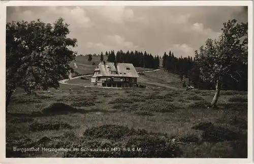 Ansichtskarte Feldberg (Schwarzwald) Berggasthof Herzogenhorn 1937