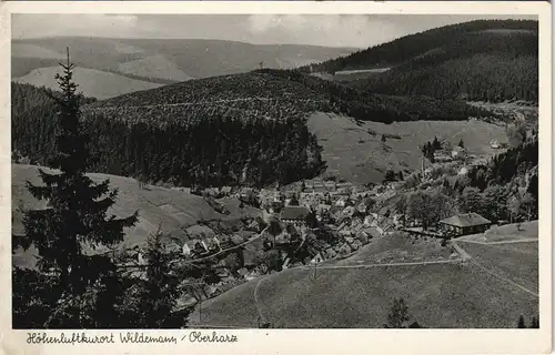 Ansichtskarte Wildemann (Innerstetal) Panorama-Ansicht (Harz) 1950