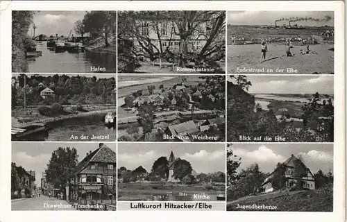 Hitzacker (Elbe) Mehrbild-AK mit Hafen, Badestrand Elbe, Weinberg uvm. 1955