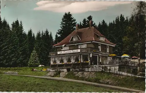 Falkau-Feldberg (Schwarzwald) FALKAU-ALTGLASHÜTTEN Café Pension Peterle 1962