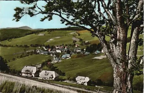 Ansichtskarte Todtnauberg Panorama-Ansicht 1967