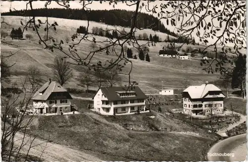 Ansichtskarte Todtnauberg Panorama-Ansicht Blick auf 3 Wohnhäuser 1970/1964