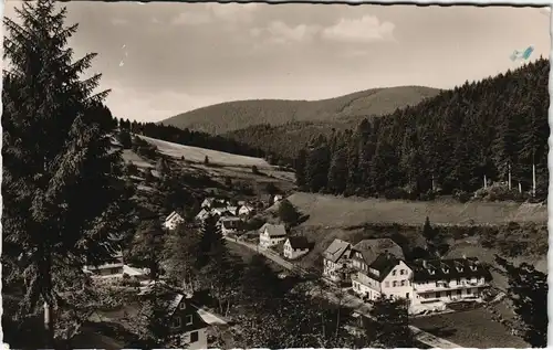 Schönmünzach-Baiersbronn Panorama mit Wohnhäuser im Murgtal 1958