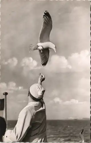 Ansichtskarte Wyk (Föhr) Mann füttert Möwe im Fliegen 1957