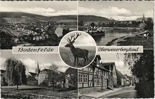 Ansichtskarte Bodenfelde Panorama-Ansichtenen u. Ortsmotive, Reh-Hirsch 1966