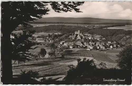 Ansichtskarte Trendelburg Panorama mit Burg Fernansicht 1961