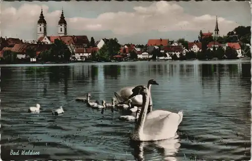 Ansichtskarte Bad Waldsee Schwäne und Stadt color 1959