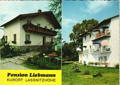 Ansichtskarte Laßnitzhöhe 2-Bild-AK Pension Liebmann 1978