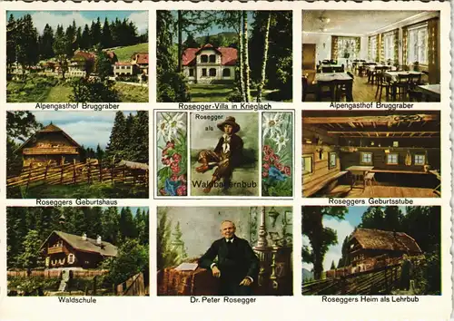Ansichtskarte Krieglach Roseggers Waldheimat, Alpl, Villen & Gasthäuser 1970