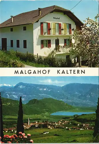 Kaltern an der Weinstraße Caldaro sulla Strada del Vino MALGAHOF Südtirol 1980