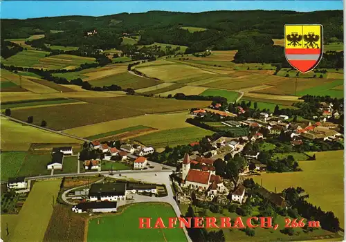 Ansichtskarte Hafnerbach Panorama Luftbild mit Ruine HOHENEGG 1980