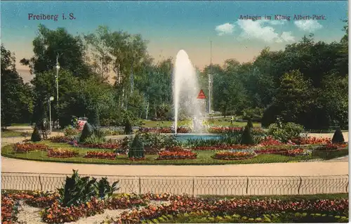 Ansichtskarte Freiberg (Sachsen) Albertpark 1913