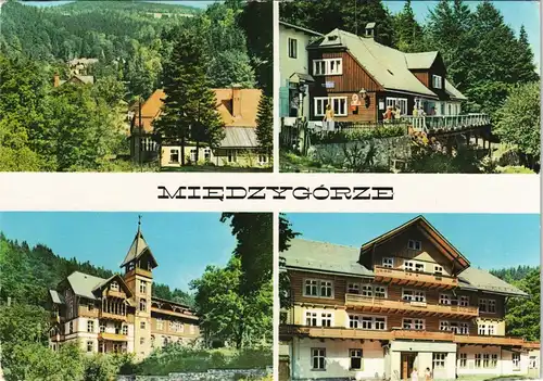 Wölfelsgrund Międzygórze Mehrbild-AK mit 4 Foto-Ansichten 1973