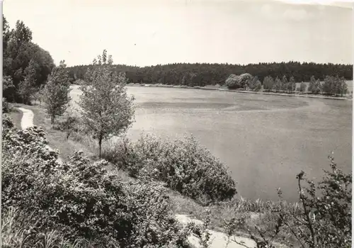 Hohenstein (Ostpreußen) Olsztynek Jezioro Dlugie  Landschaft Umland 1970