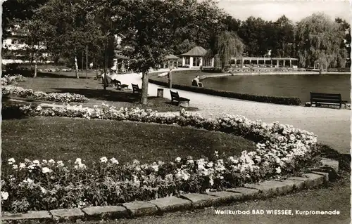 Ansichtskarte Bad Wiessee Pflanzen-Beet a.d. Kur-Promenade 1965