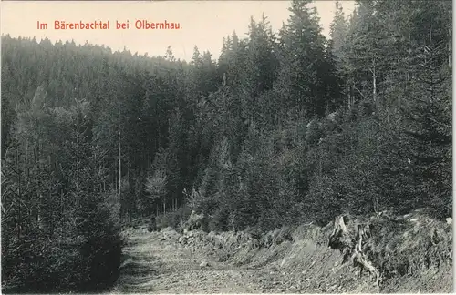 Ansichtskarte Olbernhau Im Bärenbachtal 1913