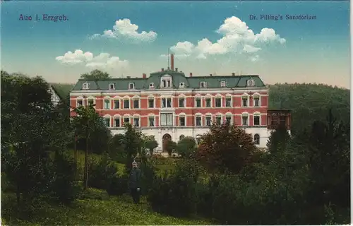 Ansichtskarte Aue (Erzgebirge) Dr. Pilling`s Sanatorium 1918/1913