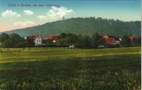 Ansichtskarte Collm-Wermsdorf Ort mit Collmberg 1913
