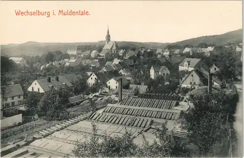 Ansichtskarte Wechselburg Panorama, Gewerbe 1913