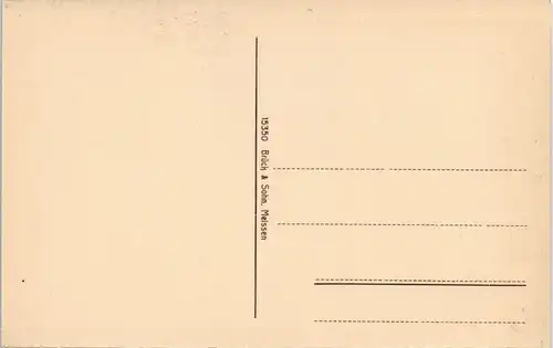 Ansichtskarte Bad Elster Rosengarten 1913