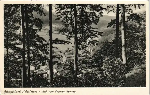 Ansichtskarte Sieber (Herzberg am Harz) Blick auf die Stadt 1958