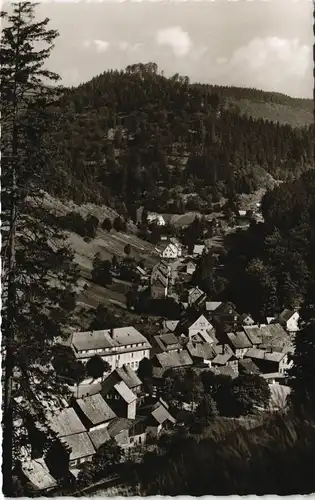 Ansichtskarte Sieber (Herzberg am Harz) Die Goldemke 1962