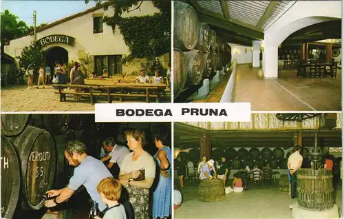 Spanien (Allgemein & Unsortiert) GIRONA Region, Mehrbild-AK BODEGA PRUNA 1970