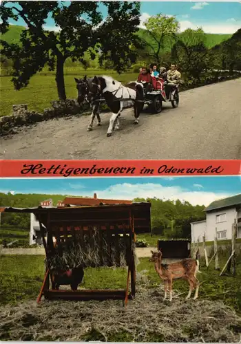 Hettigenbeuren-Buchen (Odenwald) Gasthaus u. Pension Cafe zum Engel 1973