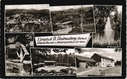 Sankt Andreasberg-Braunlage   ua. Sessellift, Park, Hirten-Brunnen uvm. 1964