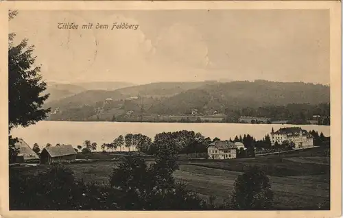 Ansichtskarte Titisee-Neustadt Titisee mit Feldberg 1913