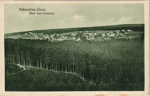 Ansichtskarte Hahnenklee-Bockswiese-Goslar Blick vom Bocksberg 1926