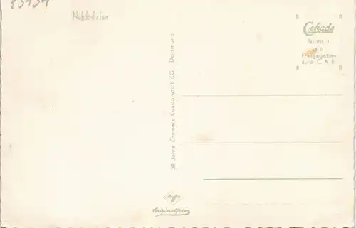 Ansichtskarte Nußdorf am Inn Luftbild Gesamtansicht v. Flugzeug aus 1955