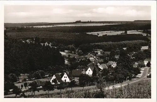 Ansichtskarte Neuhaus im Solling-Holzminden Panorama-Ansicht 1955