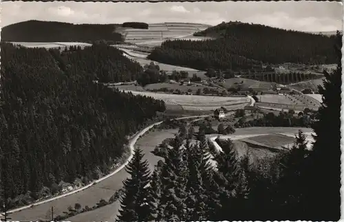 Ansichtskarte Willingen (Upland) Itterbachtal 1956