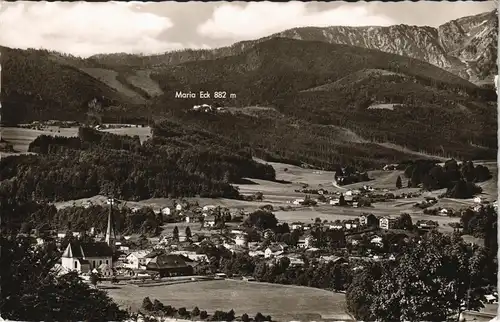 Ansichtskarte Siegsdorf Stadtpartie 1956