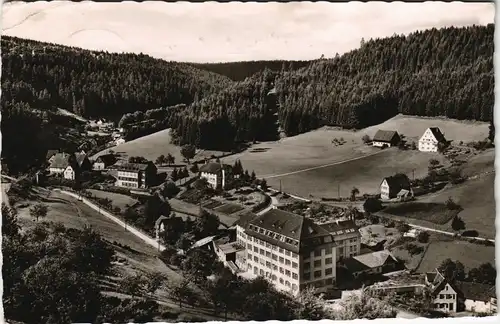 Ansichtskarte Freudenstadt Panorama-Ansicht vom Christophstal 1958