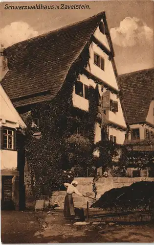 Ansichtskarte Bad Teinach-Zavelstein Ortsansicht mit Schwarzwaldhaus 1910